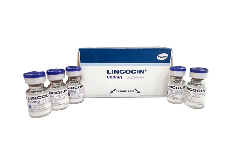 LINCOCIN 600 MG CAJA  X 5 AMPOLLAS (PFIZER)